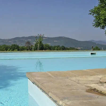 Holiday Vigne Di Pace Peg011008 Dyb