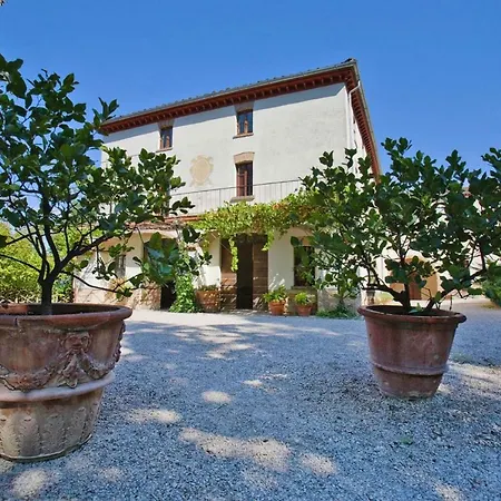 Holiday Vigne Di Pace Peg011008 Dyb