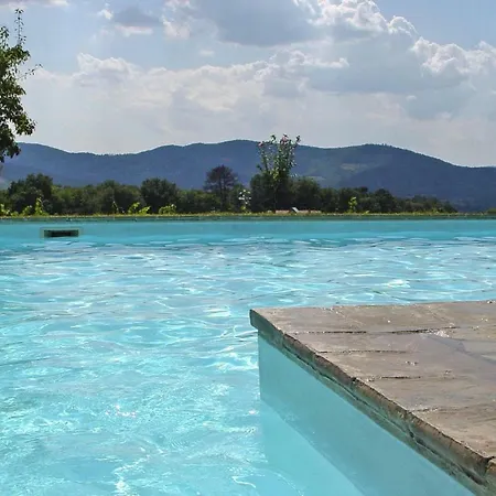 Holiday Vigne Di Pace Peg011008 Dyb *